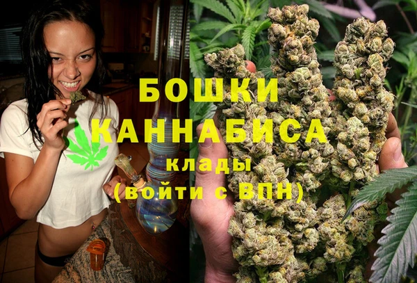 гидра Мегион